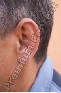 Ear texture of street references 449 0001